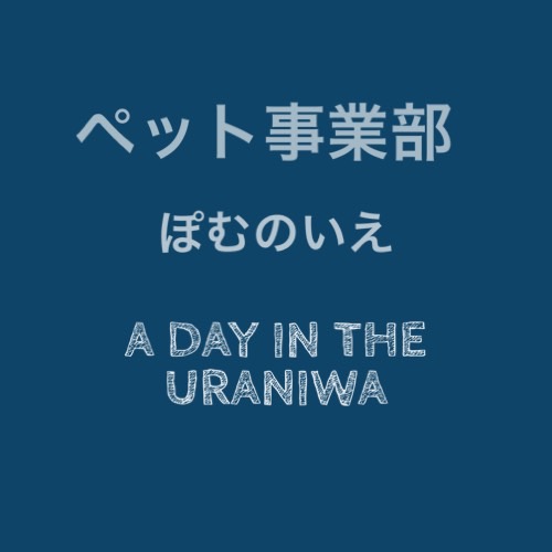 Recruit 採用情報